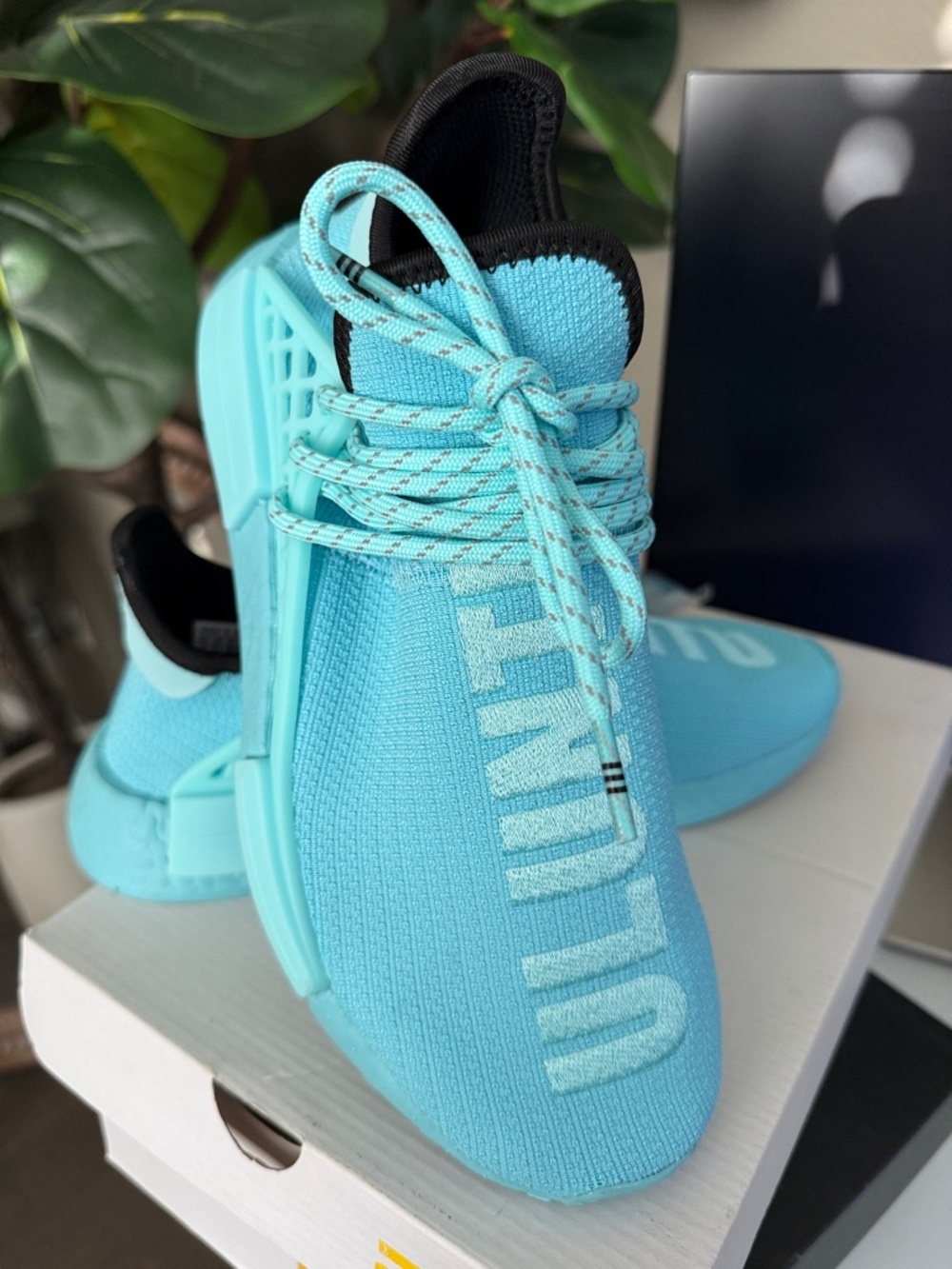 PHARRELL x Adidas NMD “Human Race” (Aqua)
